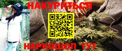 мяу мяу мука Лесосибирск