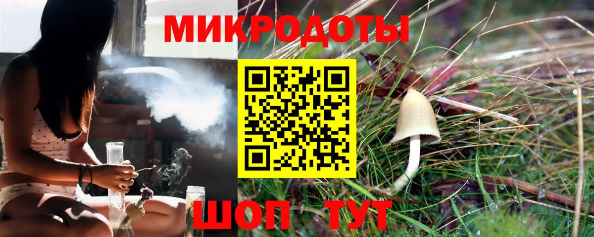Зерноград  Псилоцибиновые грибы прущие грибы  Вход с VPN  Галлюциногенные грибы Psilocybine cubensis 